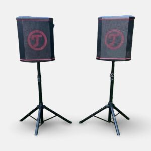 Teufel Rockster Air